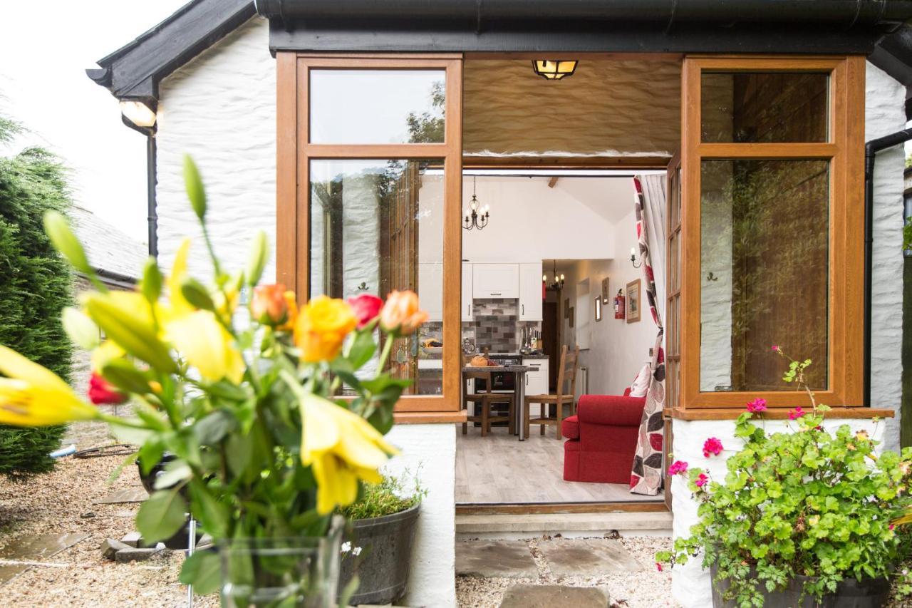 Croft Farm & Celtic Cottages Cardigan Extérieur photo