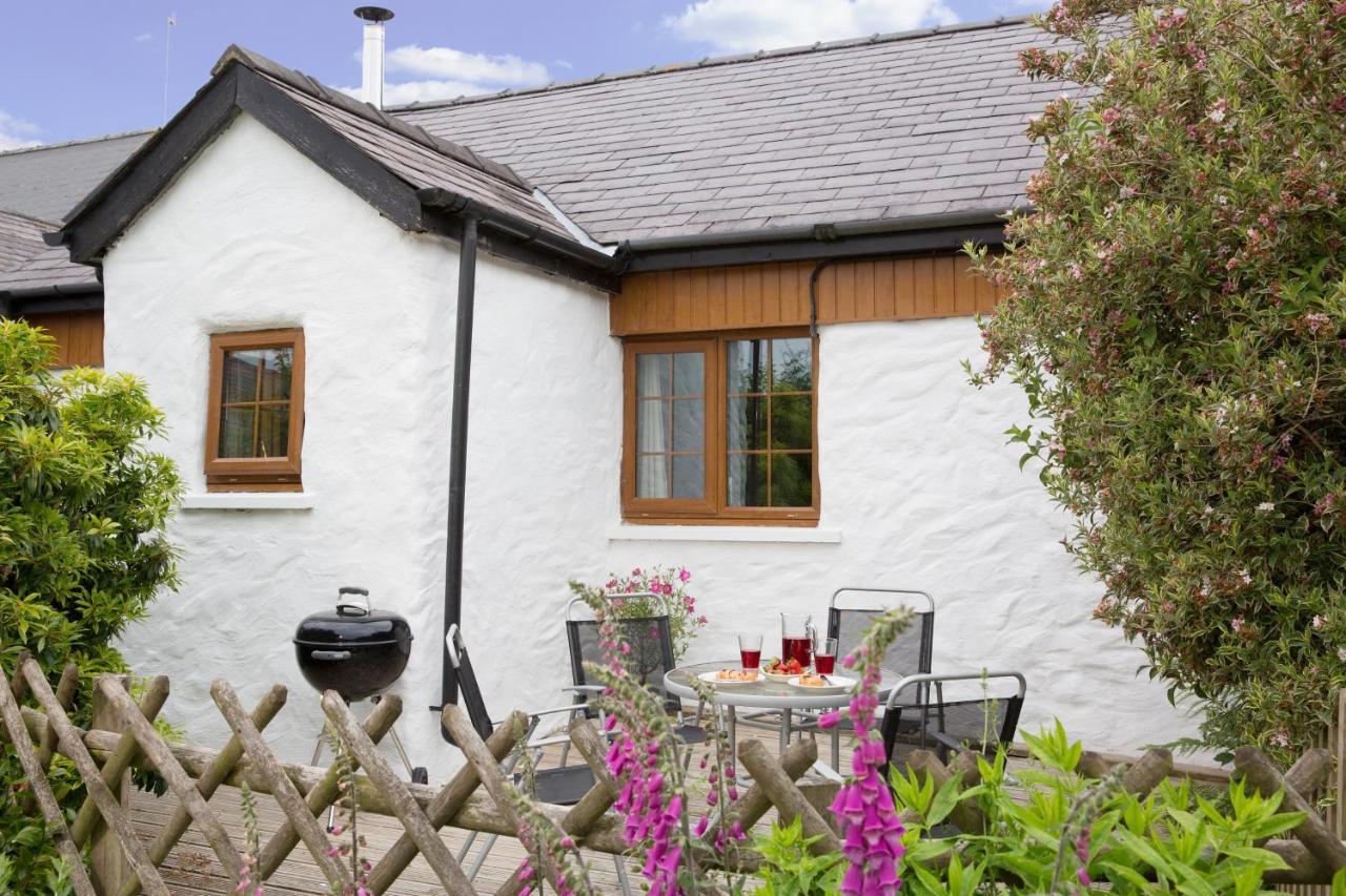 Croft Farm & Celtic Cottages Cardigan Extérieur photo