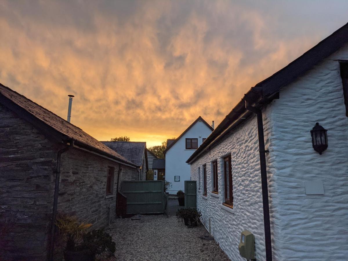 Croft Farm & Celtic Cottages Cardigan Extérieur photo